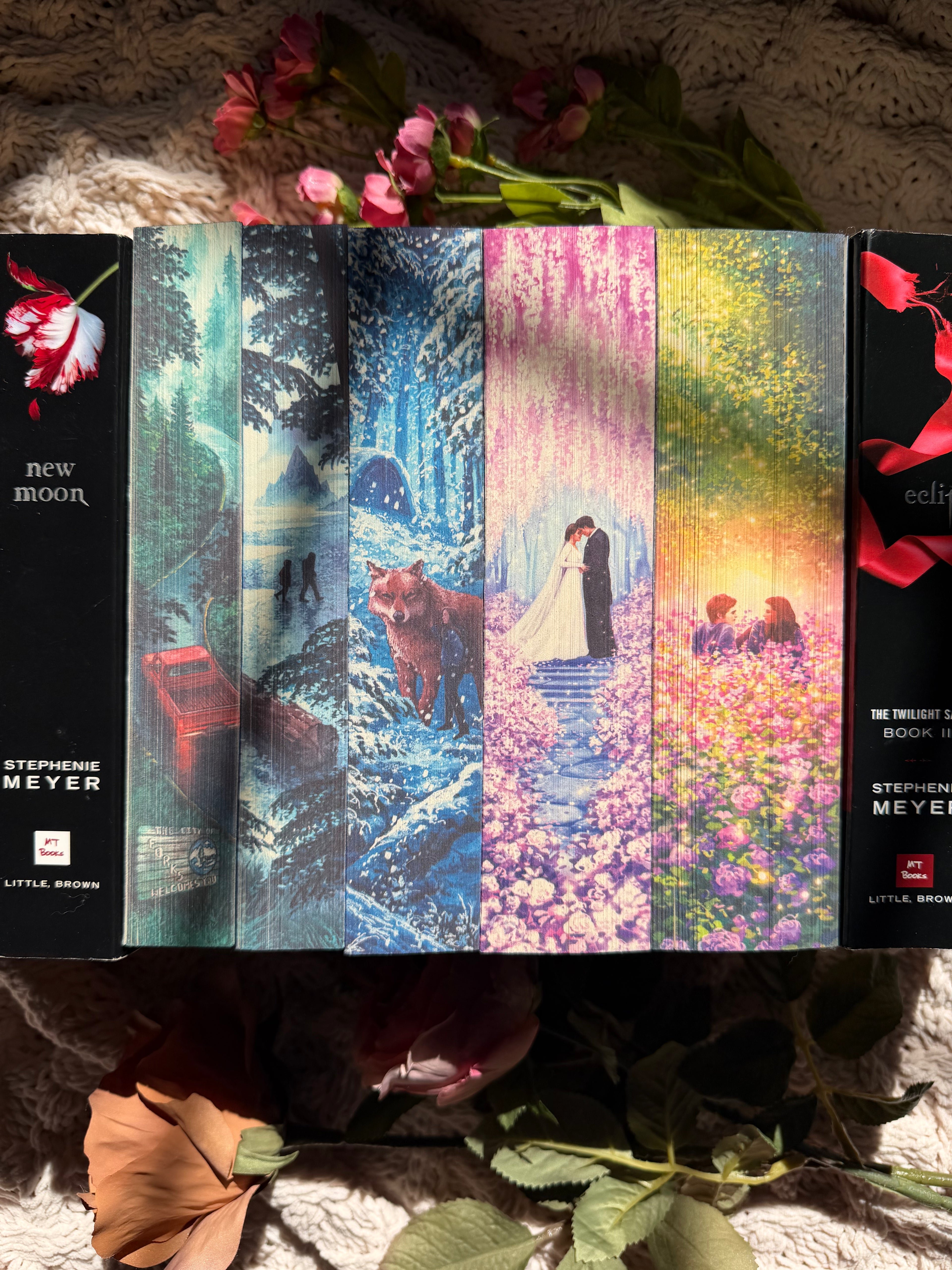 The Twilight series books 1-5 (twilight, new moon, eclipse, breaking dawn, and midnight sun) — sprayed edges set