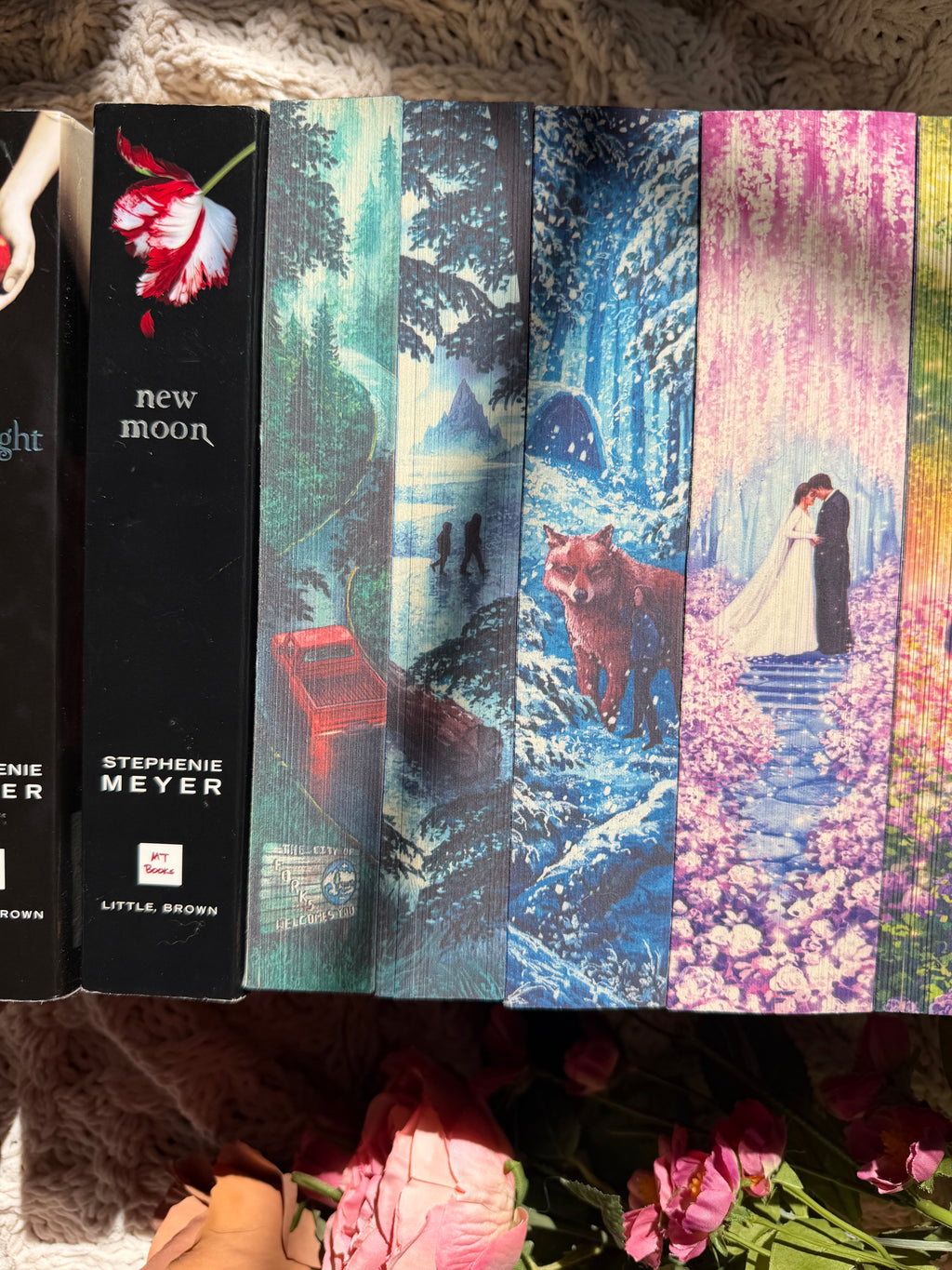 The Twilight series books 1-5 (twilight, new moon, eclipse, breaking dawn, and midnight sun) — sprayed edges set