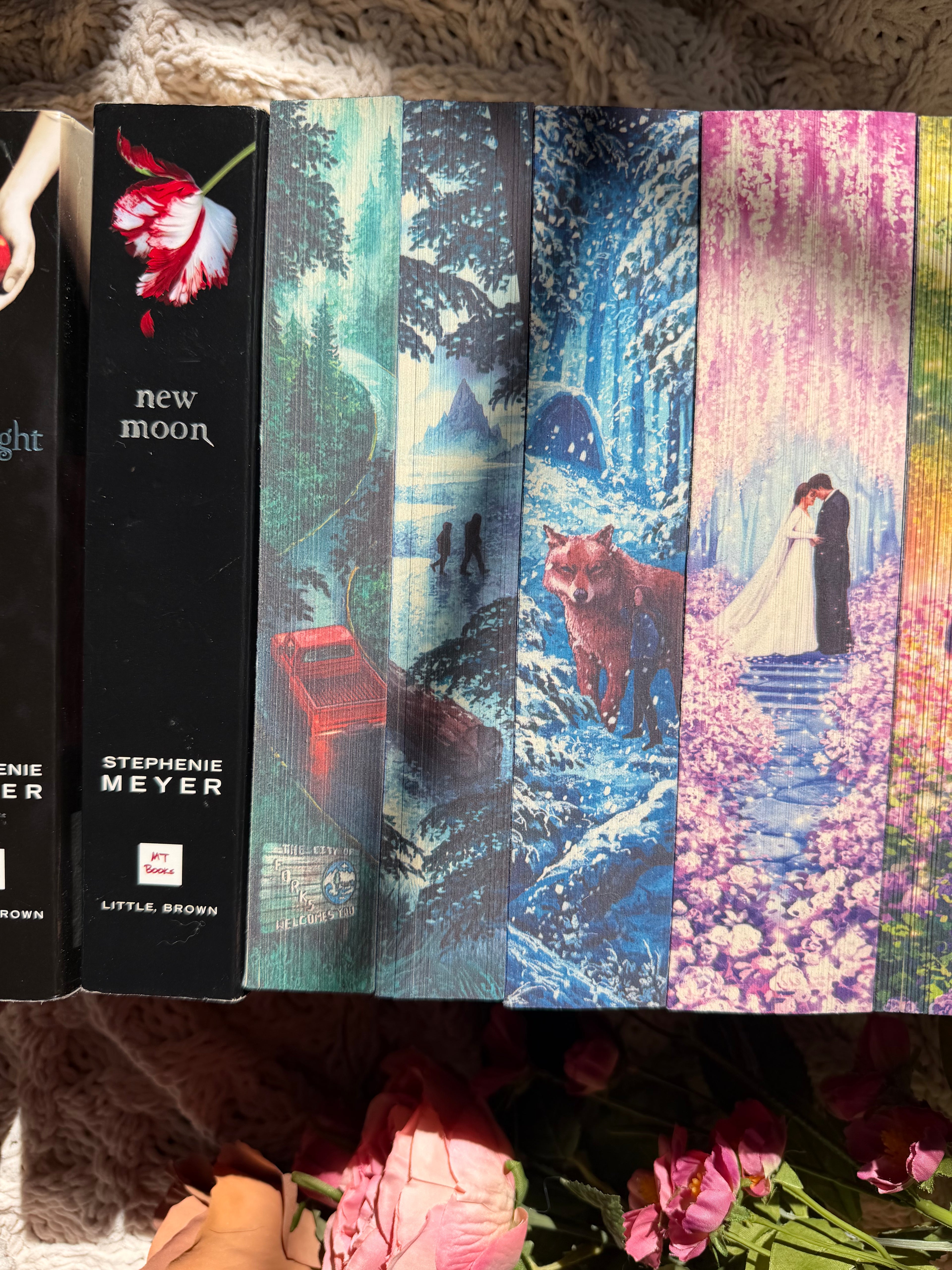 The Twilight series books 1-5 (twilight, new moon, eclipse, breaking dawn, and midnight sun) — sprayed edges set