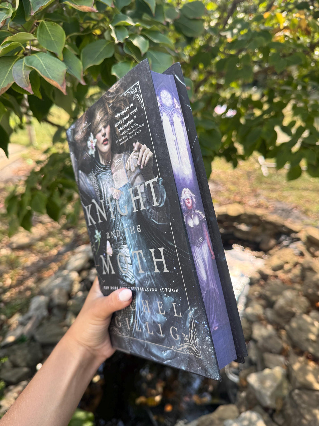 The Knight and the Moth - Special Edition