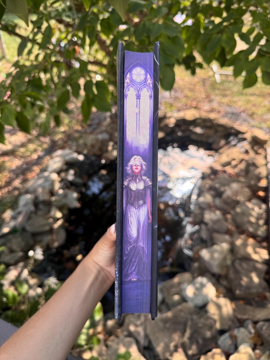 The Knight and the Moth - Special Edition